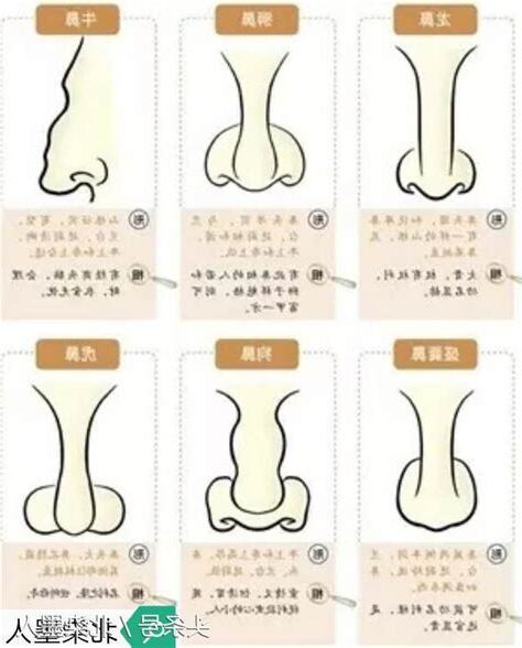 鼻樑 面相